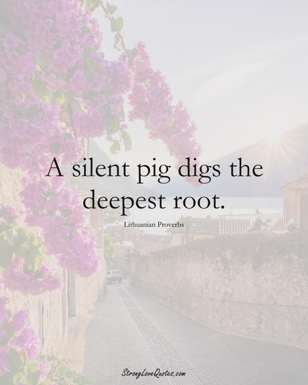 A silent pig digs the deepest root. (Lithuanian Sayings);  #AsianSayings