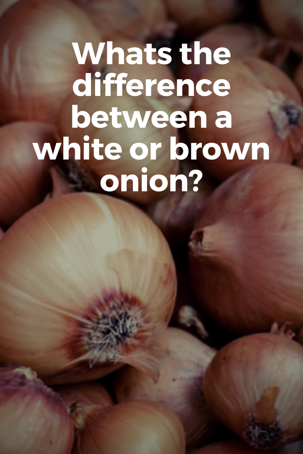 What is the difference between a white or brown onion? What onions to