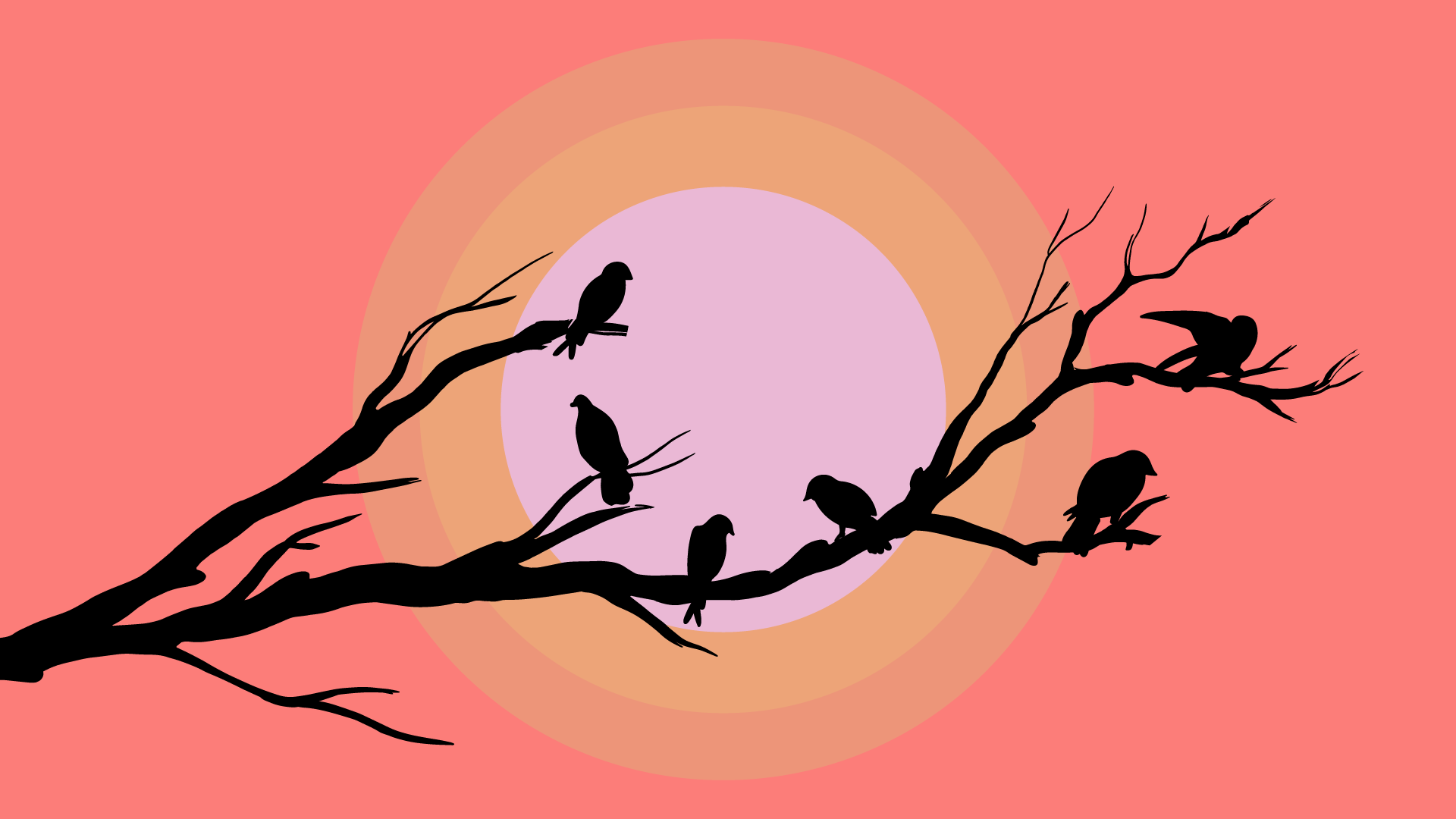 Beauty Minimalist Birds Flying Background Wallpaper for PC - Heroscreen
