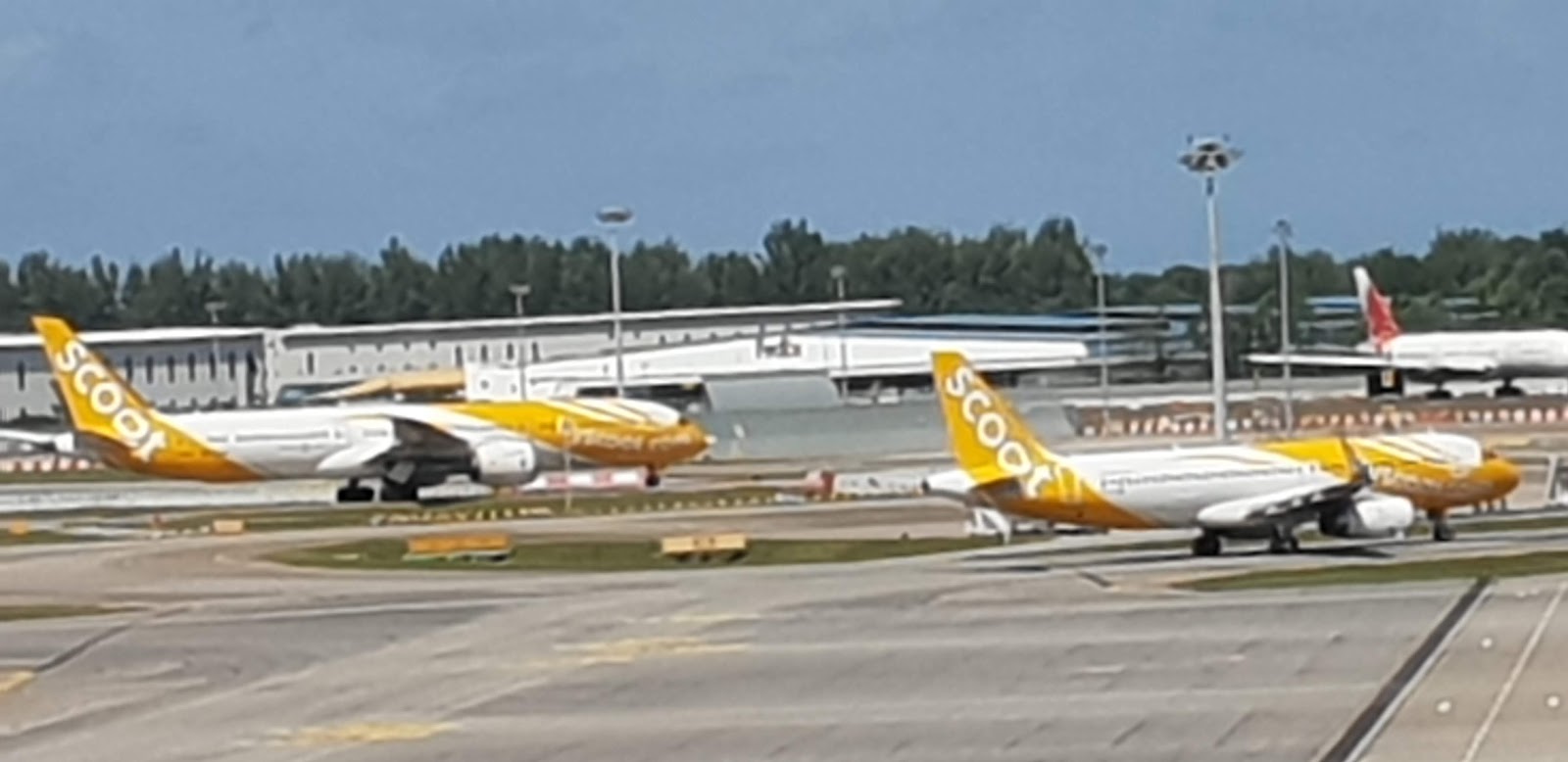StayGate Scoot extends Japan flight cancellations till 31 March 2021