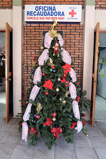 Christmas tree in Puriscal