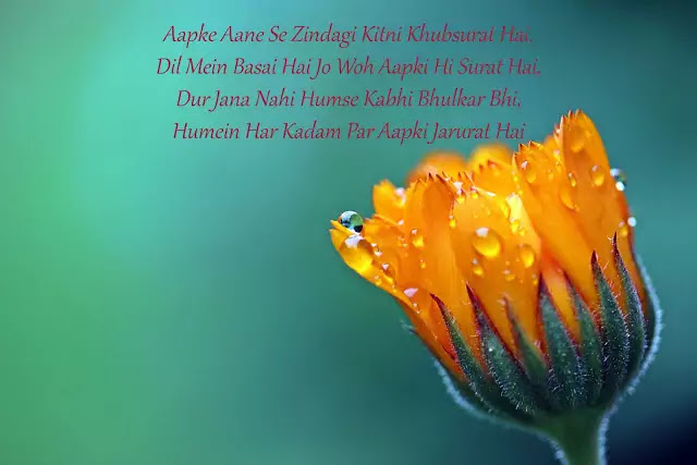 shayari meaning in english shayari meaning in english