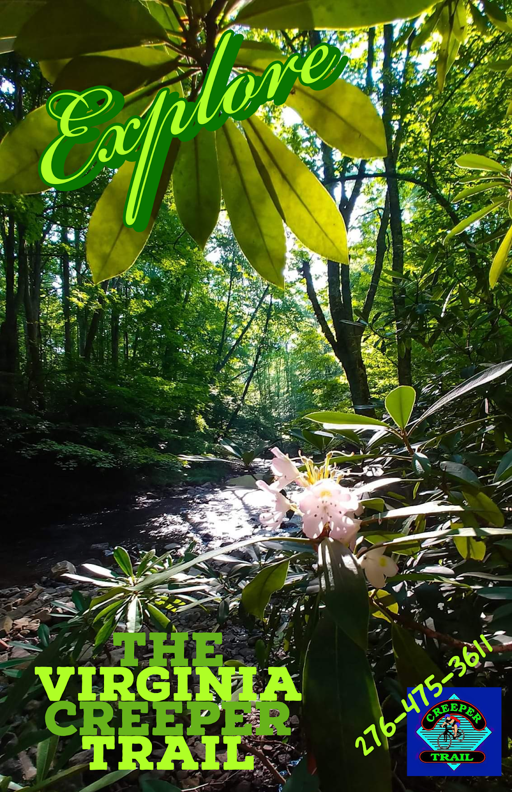 Creeper Trail Bike Rental & Shuttle Virginia Creeper Trail is OPEN!
