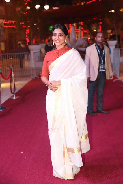 Tamil Actress Satna Titus Latest Images In Saree 10