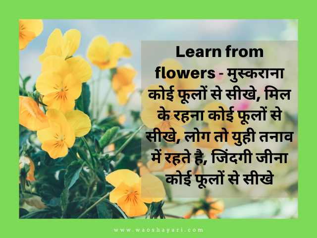 good morning flowers images for whatsapp status images for good morning wishes