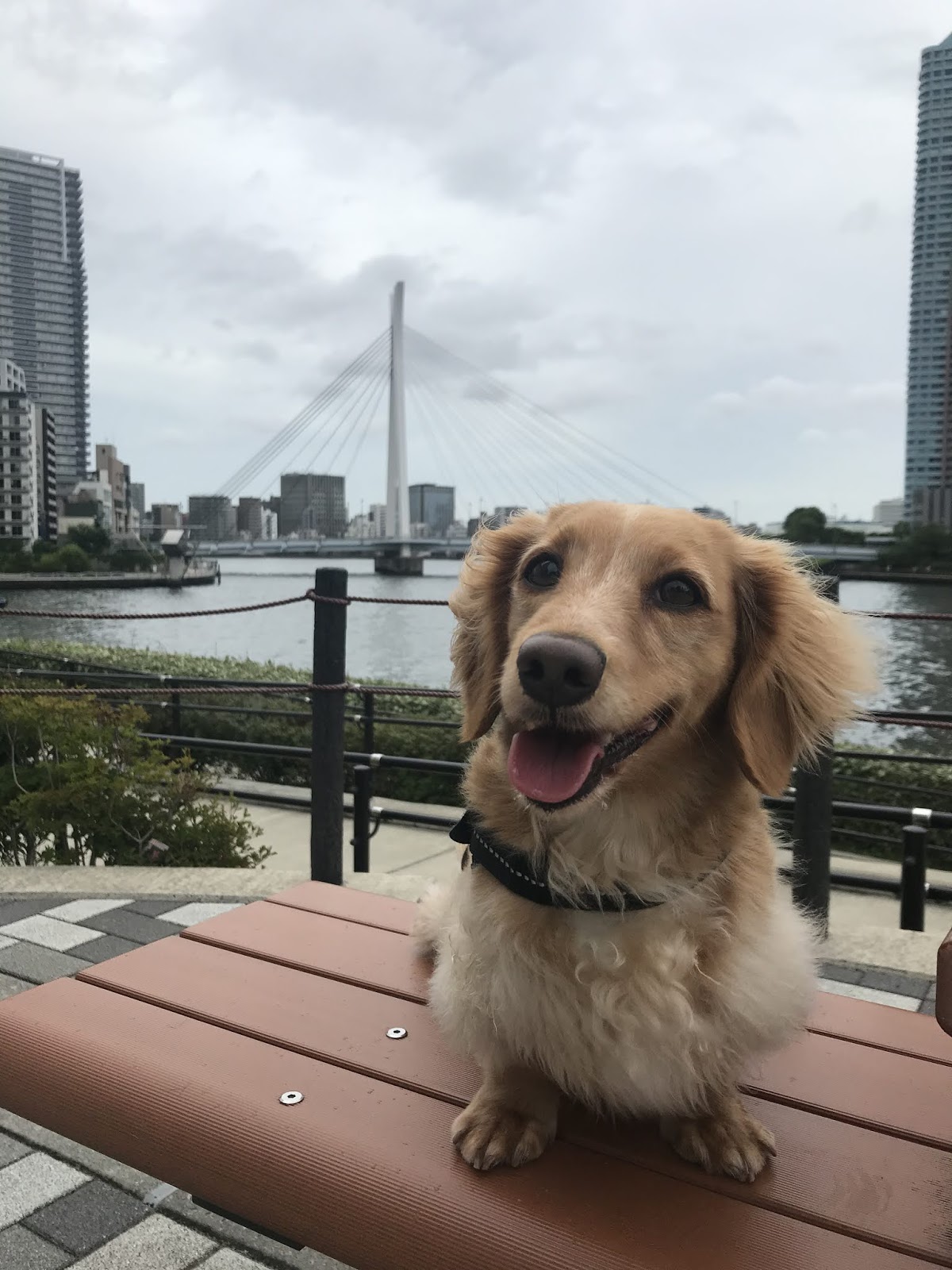 ドイツ語練習帳 曇っている Bewolkt Cloudy