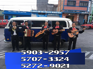 precio serenata