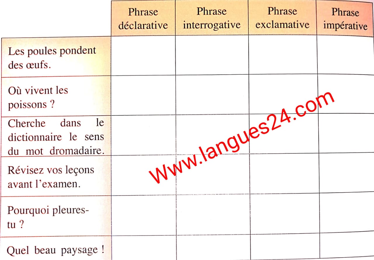 les types et formes de phrases exercices corrigés