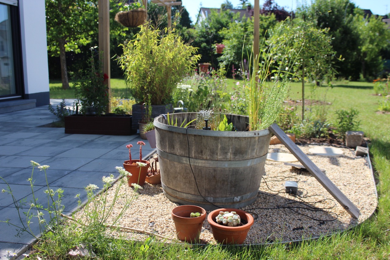 Gartenwiki Rss 450