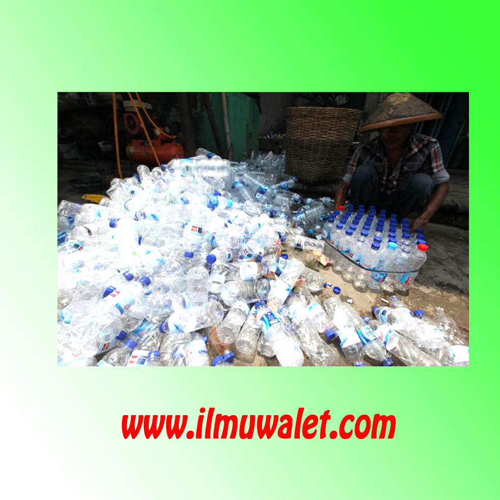 Memanfaatkan Botol Air Mineral Untuk Kelembaban Dan Kesejukan Gedung Walet Ilmuwalet Com