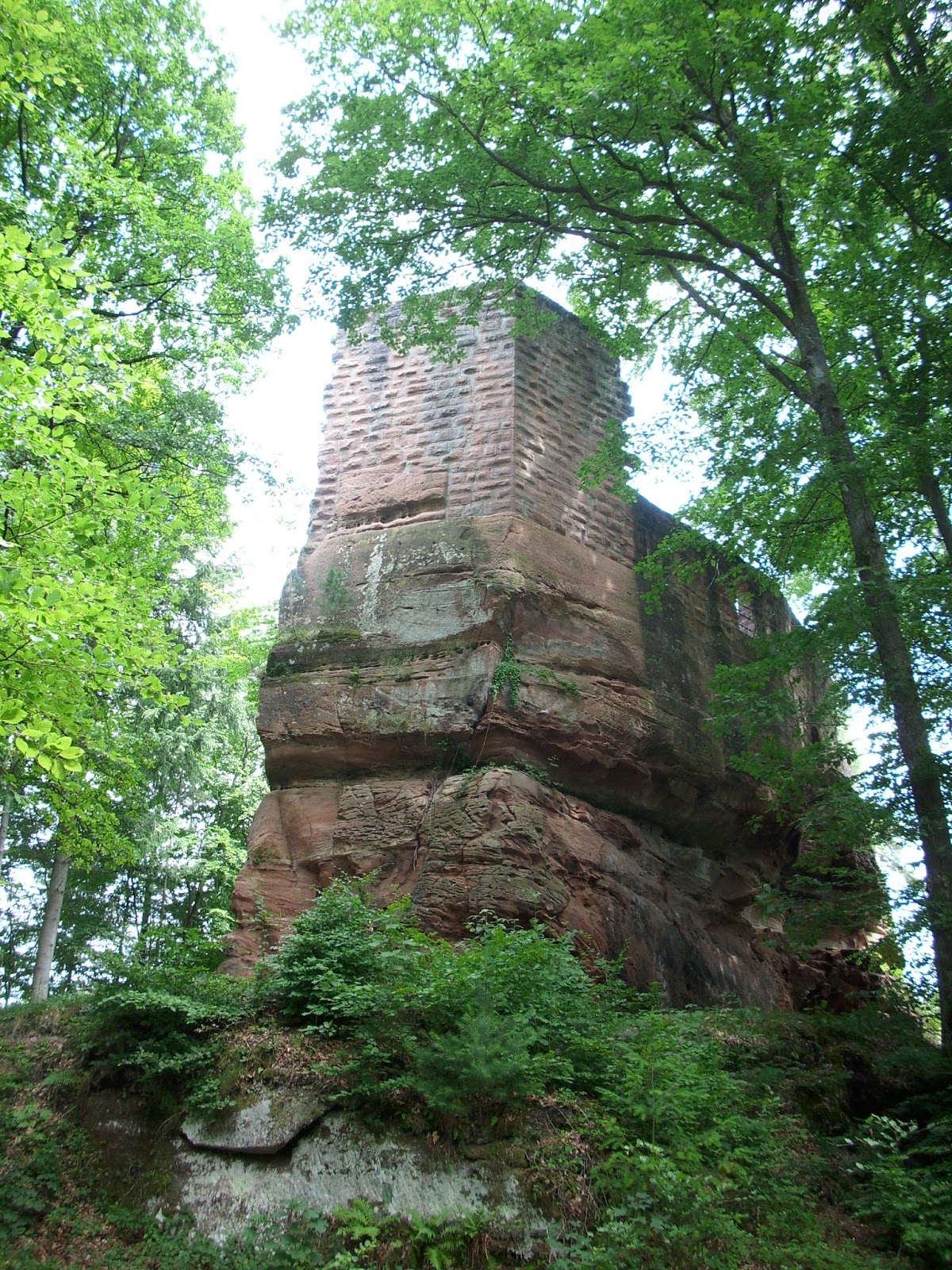 Die Pfalz und ihre Sehenswürdigkeiten Burg Blumenstein