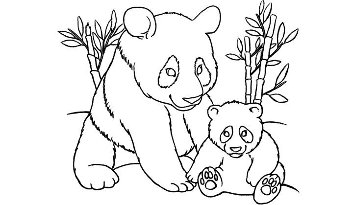 Baby Panda Coloring Pages | Rainbow Coloring