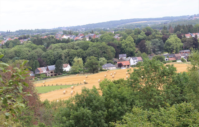 panorama sur Roux vue sur la commune de Roux
