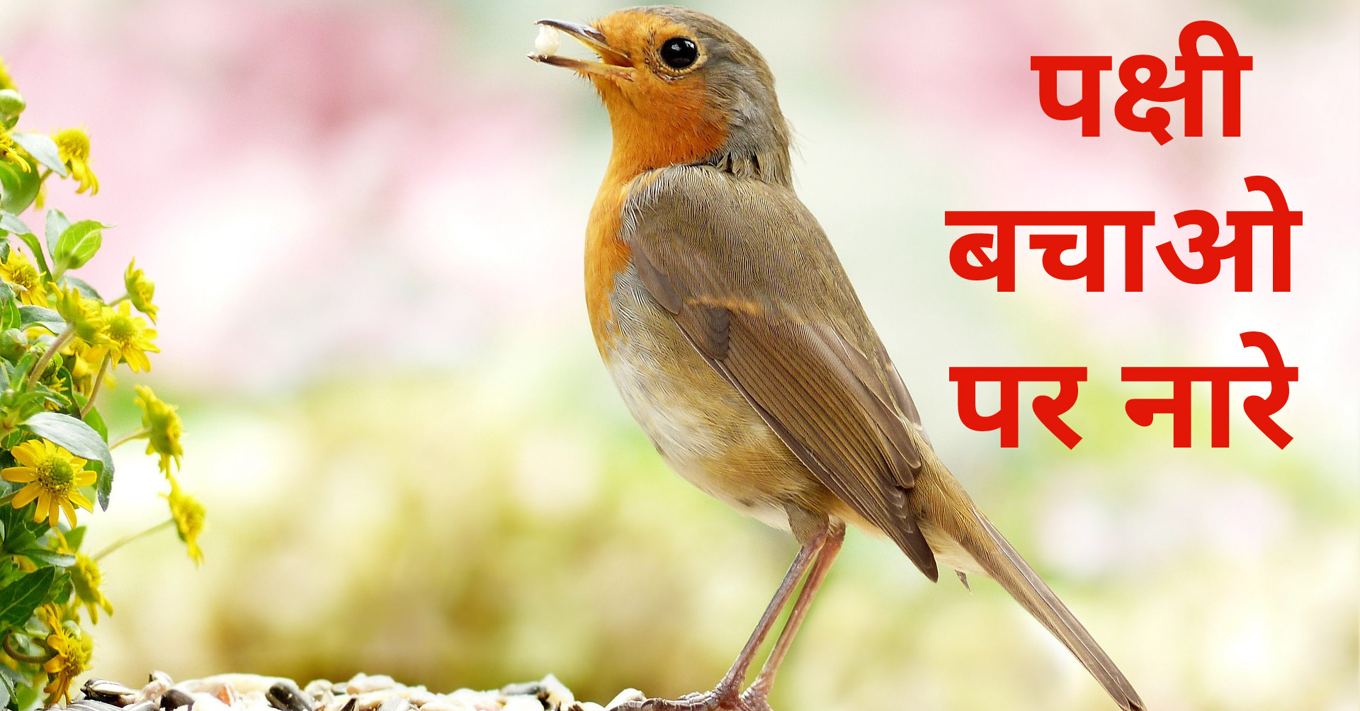 पक्षी बचावों पर नारे, स्लोगन - Save Birds Nare, Slogan In Hindi -  Hindi7Facts