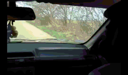Untitled.gif