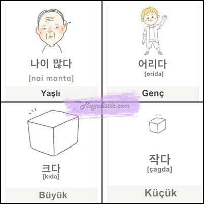 Bir Hayalim Var: Korece - Zıt Anlamlı Kelimeler