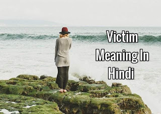 Victim Meaning In Hindi