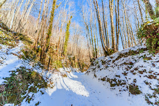 Neve a Ischia, Monte Epomeo innevato, Foto Ischia, Neve a Ischia 2017, Comune di Fontana, Eremo di San Nicola innevato, Ischia imbiancata,