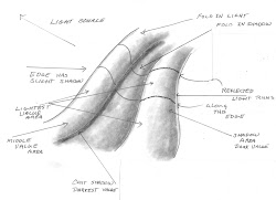 fabric folds purple palette magazine form