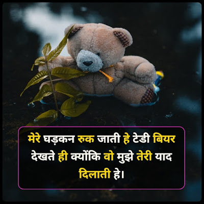 Teddy Day Shayari In Hindi