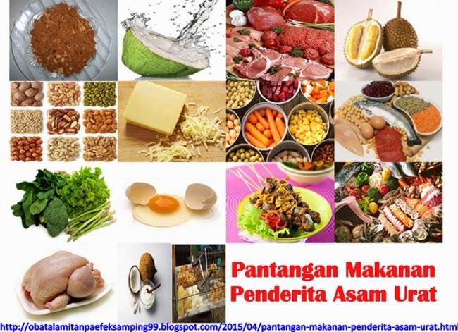 Pantangan Makanan Penderita Asam Urat