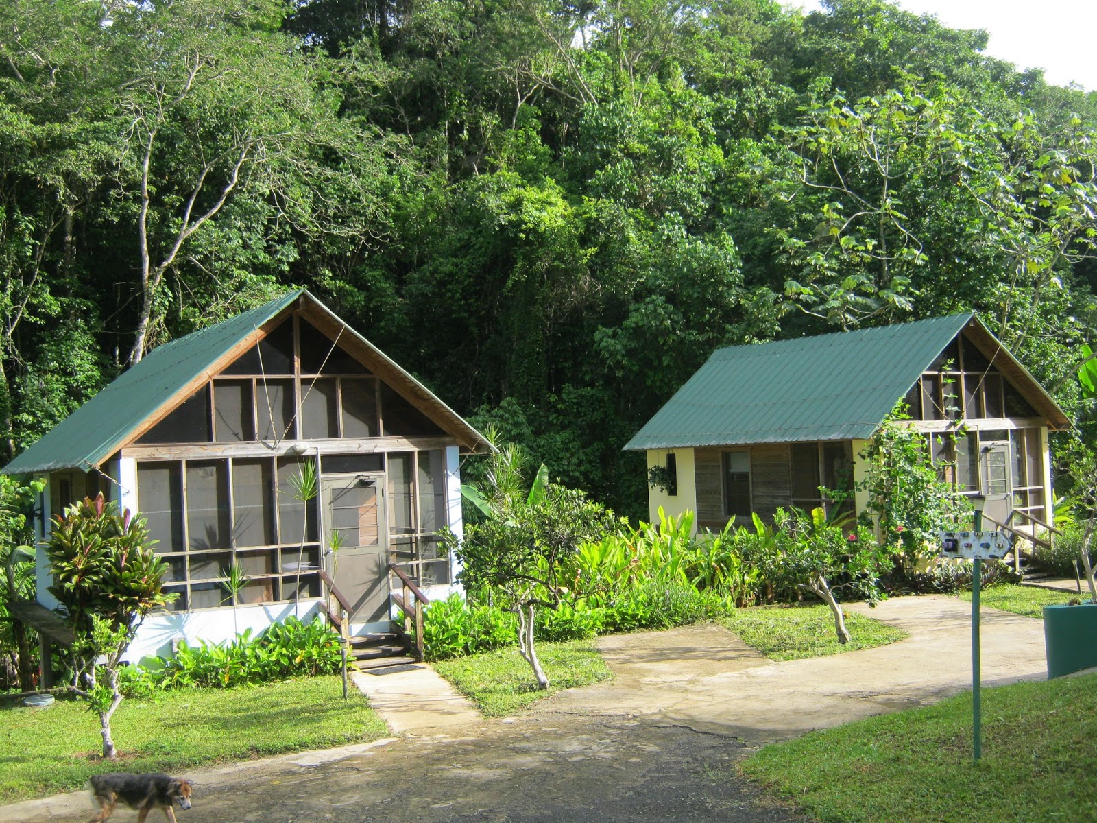 tj ranch-puerto rico vacation