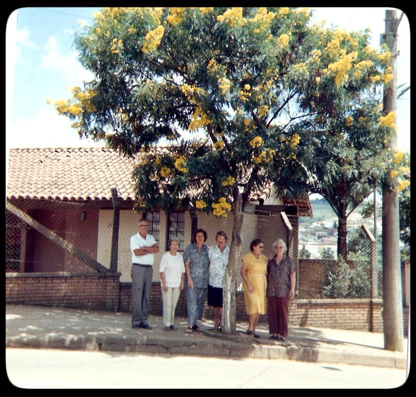 Família Coelho de Mendonça