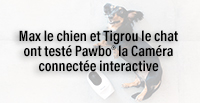  Max le chien et Tigrou le chat ont testé Pawbo® la Caméra connectée interactive