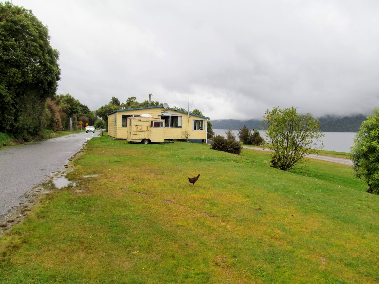 Tramping in the New Zealand backcountry NZ Bush Adventures Hokitika