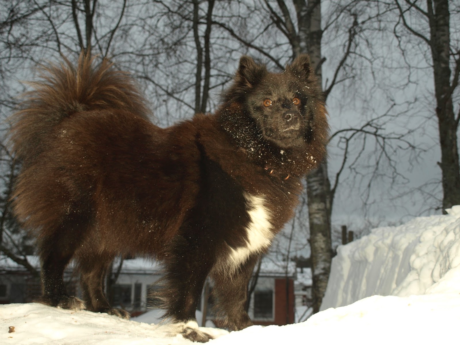 Täydellinen tyttöjen kuvia