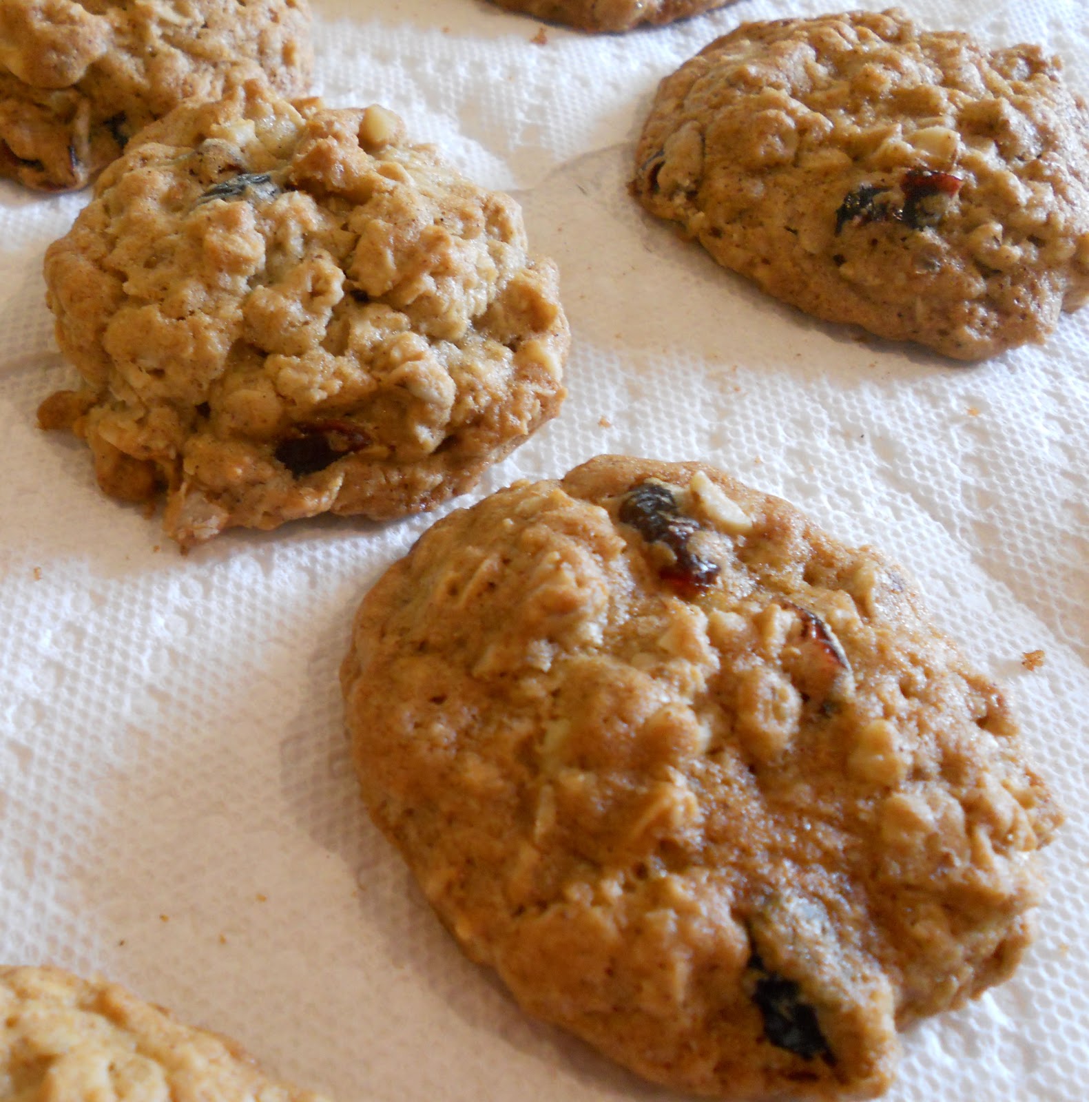 Cranberry Walnut Oatmeal Cookies