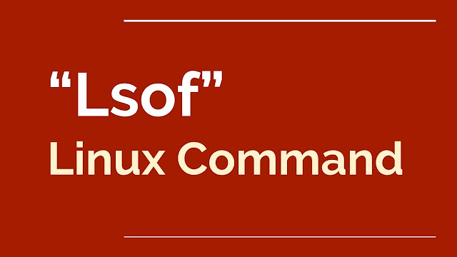 lsof command, Linux Tutorial and Material, Linux Guides, Linux Exam Prep, LPI Certification
