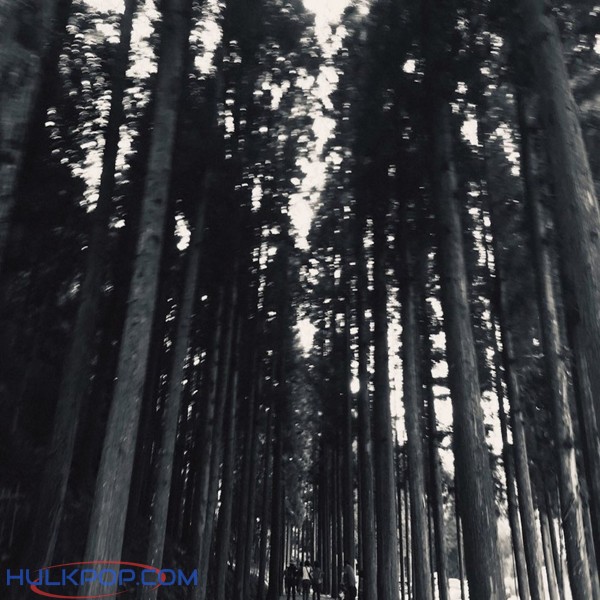 KIMDA – Goodbye – Single