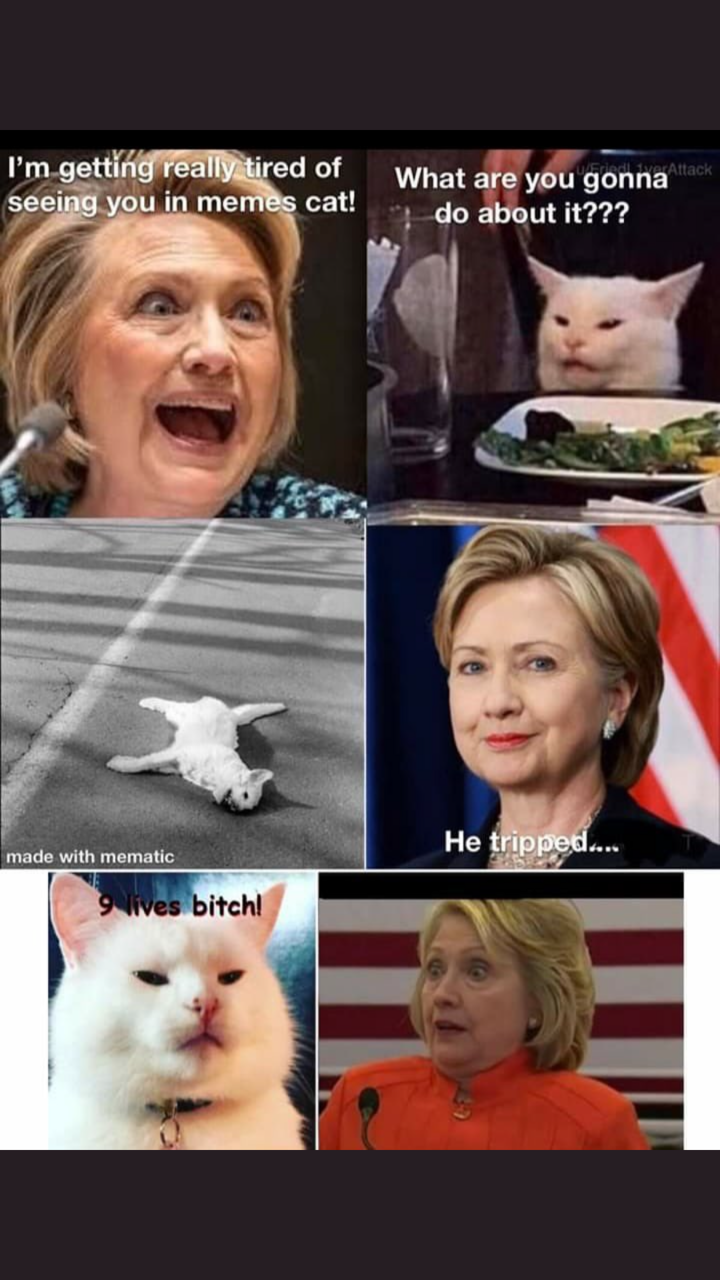 CAT.PNG
