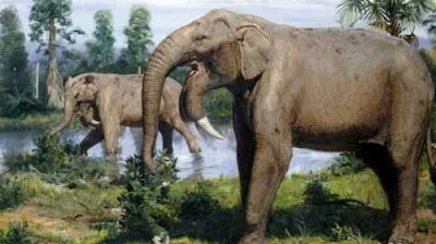Deinotherium-antigos-elefantes-que-estão-extinguidos