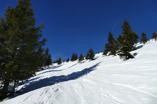 monte cornetto folgaria ciaspole