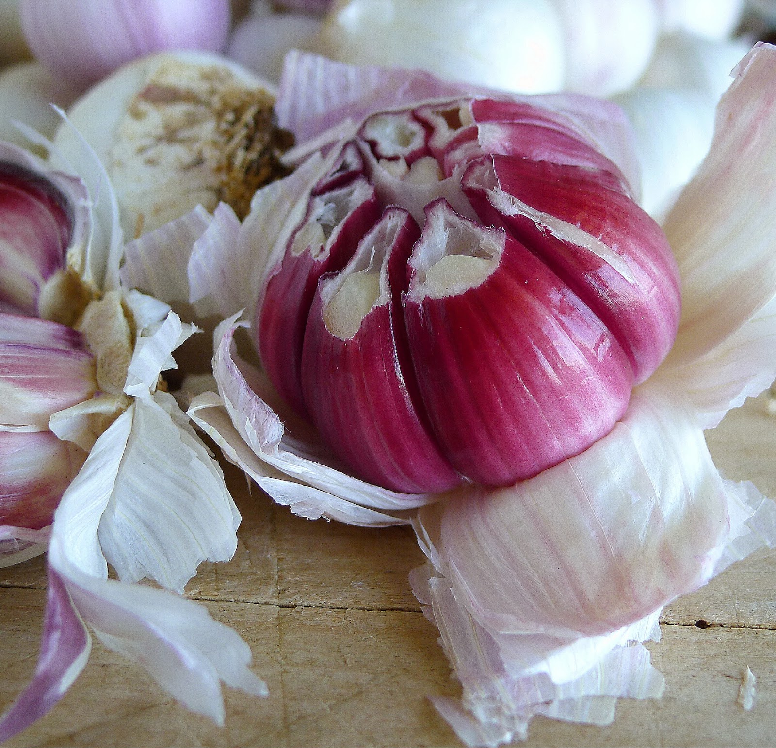 MY KITCHEN IN SPAIN WITH A “SMIDGIN” OF GARLIC