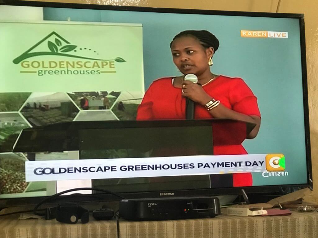 Videos) Royal Media Service brand, Citizen Television, on the spot over the Goldenscape greenhouses loot
