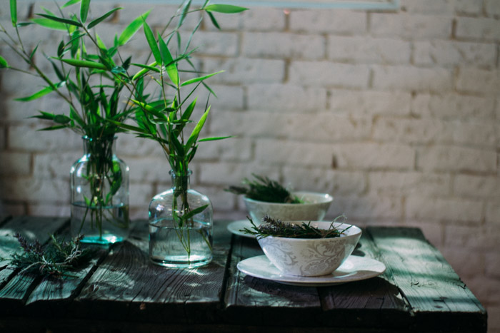 Ramilletes plantas diy