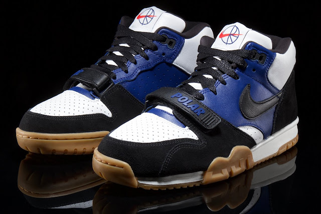nike sb trainer 1 polar