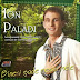 Ion Paladi - Bine-i şade mesei mele (2007)