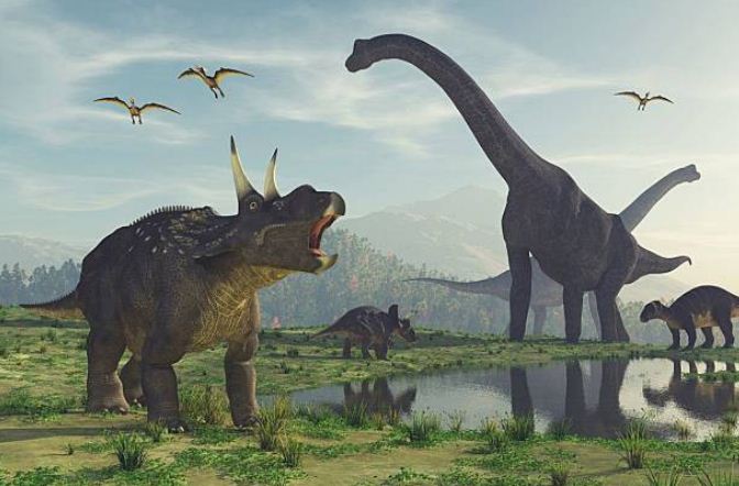 Masyarakat Indonesia Pada Masa Praaksara Hindu Budha Dan Islam Terlengkap