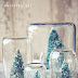 Winter Snow Globes