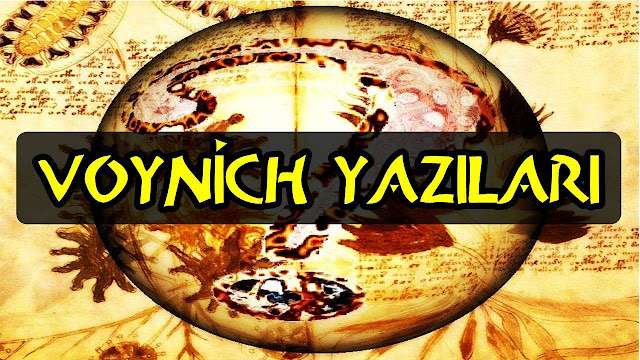 voynich-yazilari.jpg