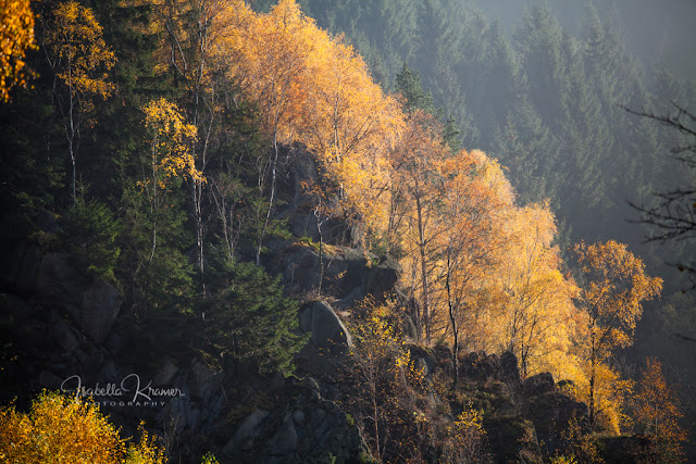 Sonnenuntergangstour Im Harz Der Goetheweg Auf Den Brocken
