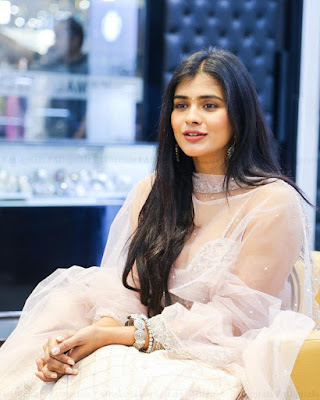 Hebah Patel (Indian Actress) Biography, Wiki, Age, Height, Family, Career, Awards, and Many More