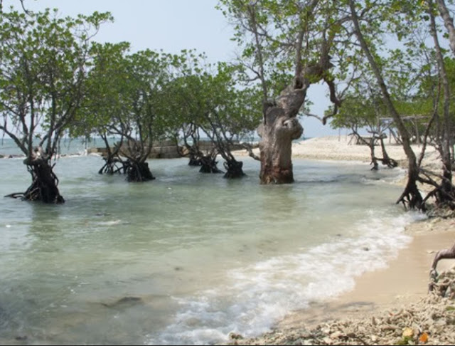 5 Tempat Wisata di Tanjung Jabung Barat yang Paling Menarik