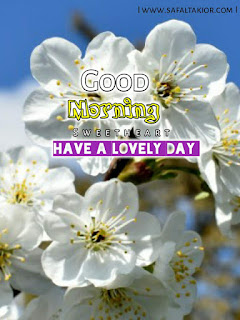 good morning flowers pictures