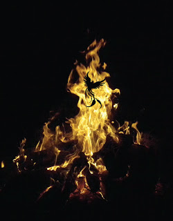 phoenix bird silhouette rising from a bonfire