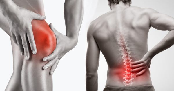 10 Foods That Will Reduce Knee and Back Pain: